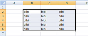 Saisir la même valeur dans une plage de cellules dans Excel exemple résultat